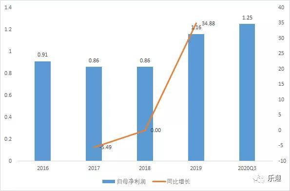 中孚环境资金占用真相揭秘，事件深度解析与散户及定增投资者维权索赔指南